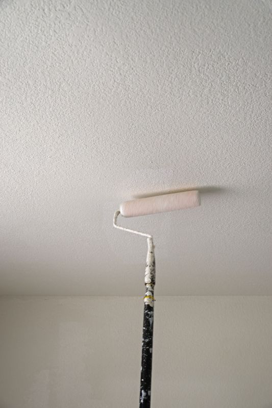 House Ceiling Painting in Kansas City, KS