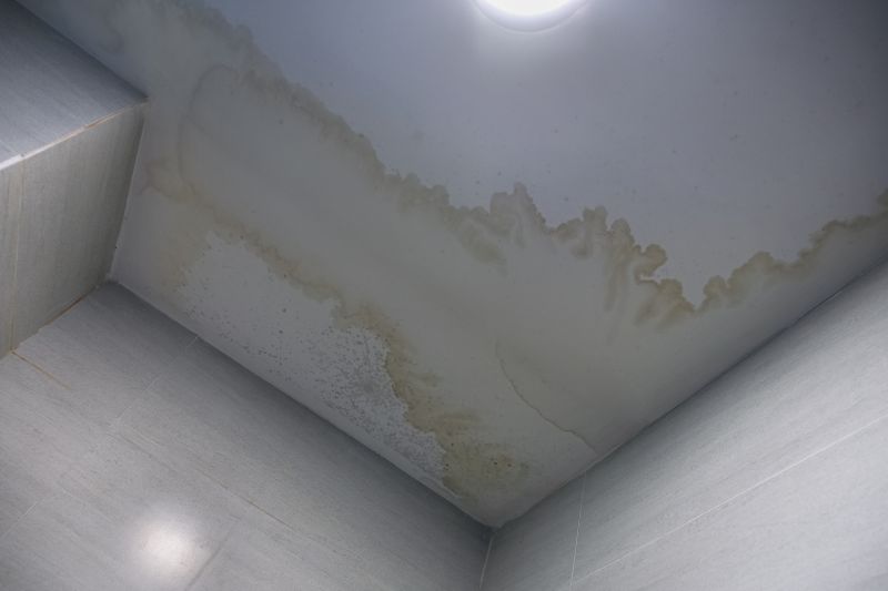 Ceiling Water Damage Repair in Conroe, TX