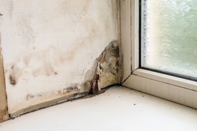 Avoid Moisture or Pest Issues as a Result of Damaged Drywall!